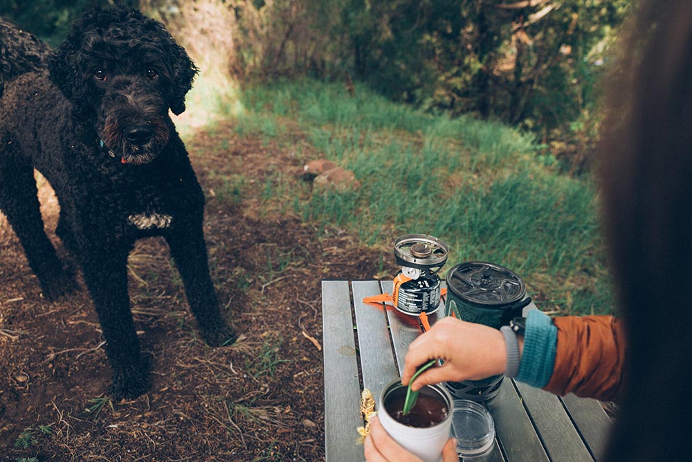 A woman mixes a cup of camp coffee as her black curly haired dog watches intently. 